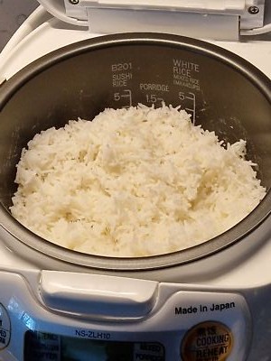 【限定価格】RICE FORCE 30日お試し 2026.04.10期限】ケンネルズフェイバリット ダック＆ライス