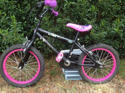 Girls Bike 16 Inch - Trek Bike