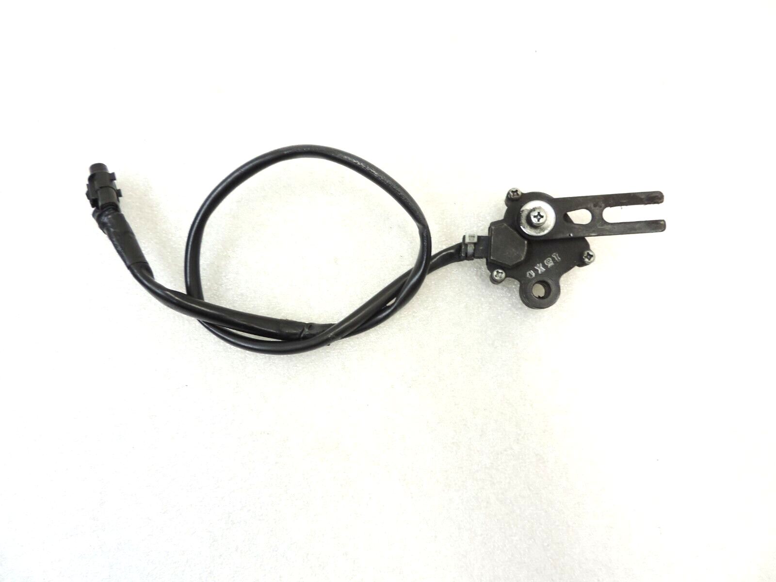 ペギー $_57.PNG?set_id=880000500F