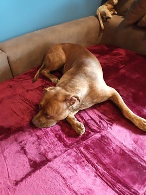 Artikelfoto(s) von einem verifizierten Käufer