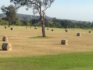 Image result for pink and green hay bales in the shoalhaven