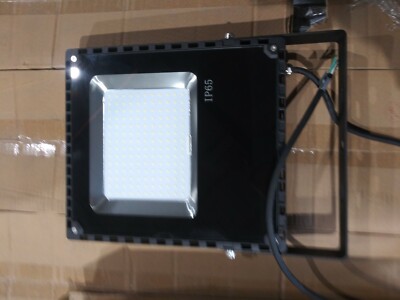 Ecopower Security Light 100 Watts 5000K SLM100WCWV4