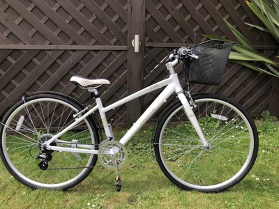 pendleton dalby bike