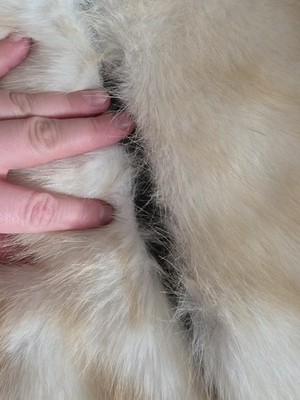 Fotos del artículo de un comprador verificado