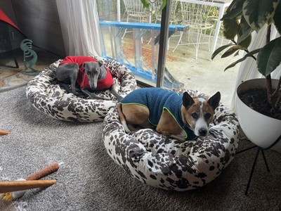 Artikelfoto(s) von einem verifizierten Käufer