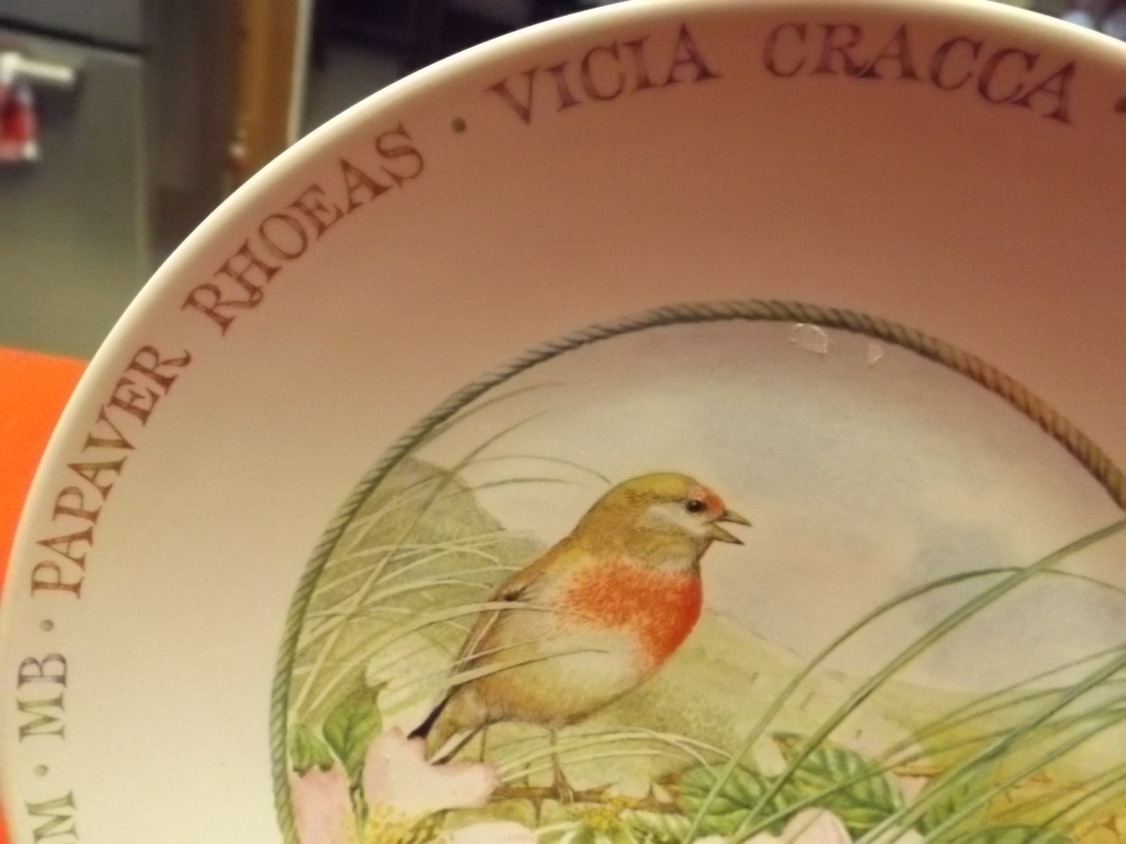 Collectible Spring plate