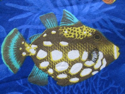 Ocean Reef Fabric 2 yards x 44