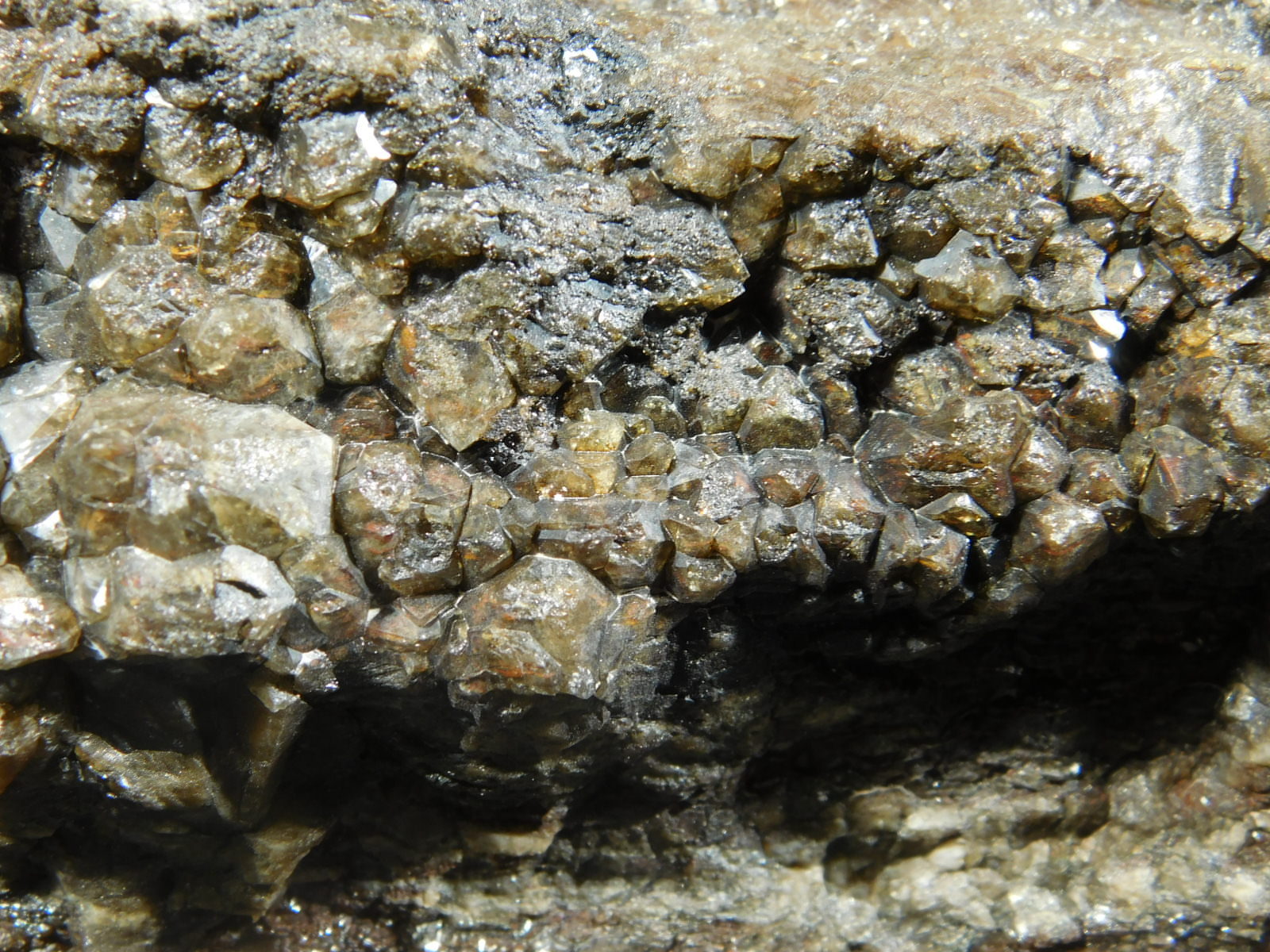 A BIG! Petrified Wood Fossil With Smoky Quartz CRYSTALS! From Utah! 1988gr e
