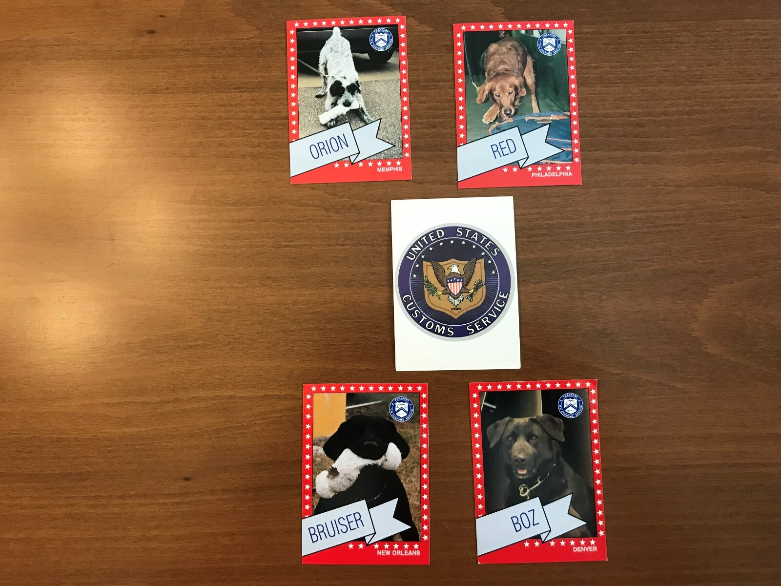 US CUSTOMS K9 COLLECTOR CARDS / ASSORTED / SEVEN SETS / US TREASURY NO MORE - KC