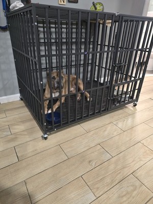 經驗證買家提供的物品圖片