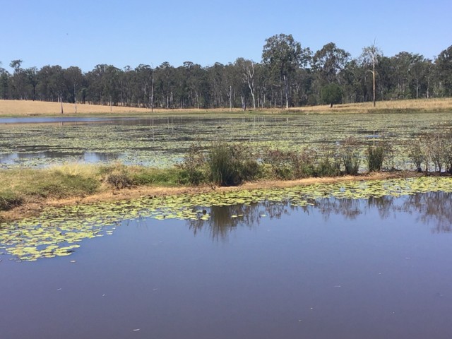 14 acres (Under Contract) | Land For Sale | Gumtree ...