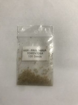 Foto dell'oggetto di un acquirente verificato