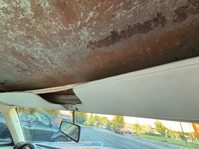 image 4 of interior