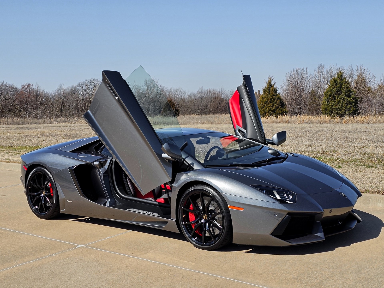 Owner 2014 Lamborghini Aventador,  with 17504 Miles available now!