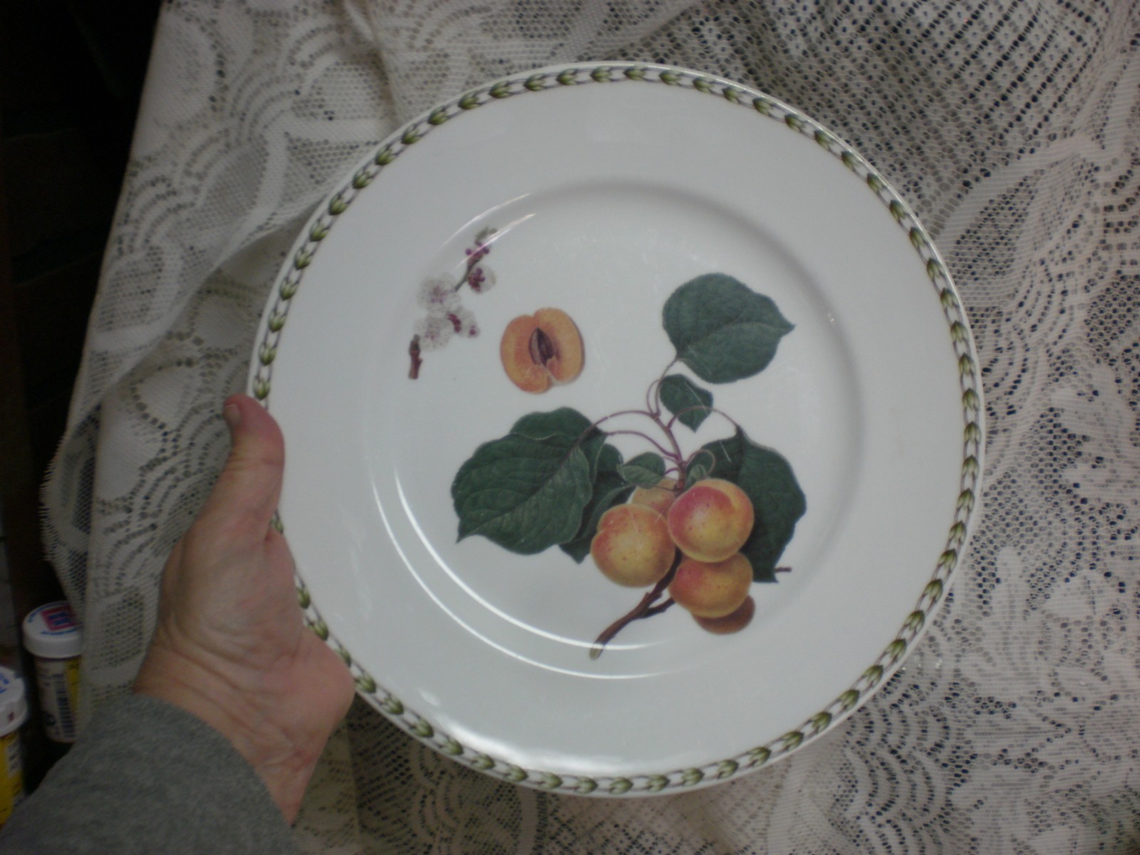 Rosina Queens HOOKER'S FRUIT (BONE CHINA MADE INDIA  ) Apricot Dinner Plate