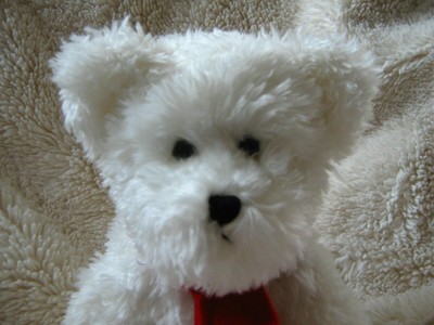 Boyds Bears Plush Peppermint Bear Winter Mintly 904210