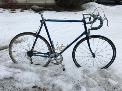 schwinn stingray wheelie bar