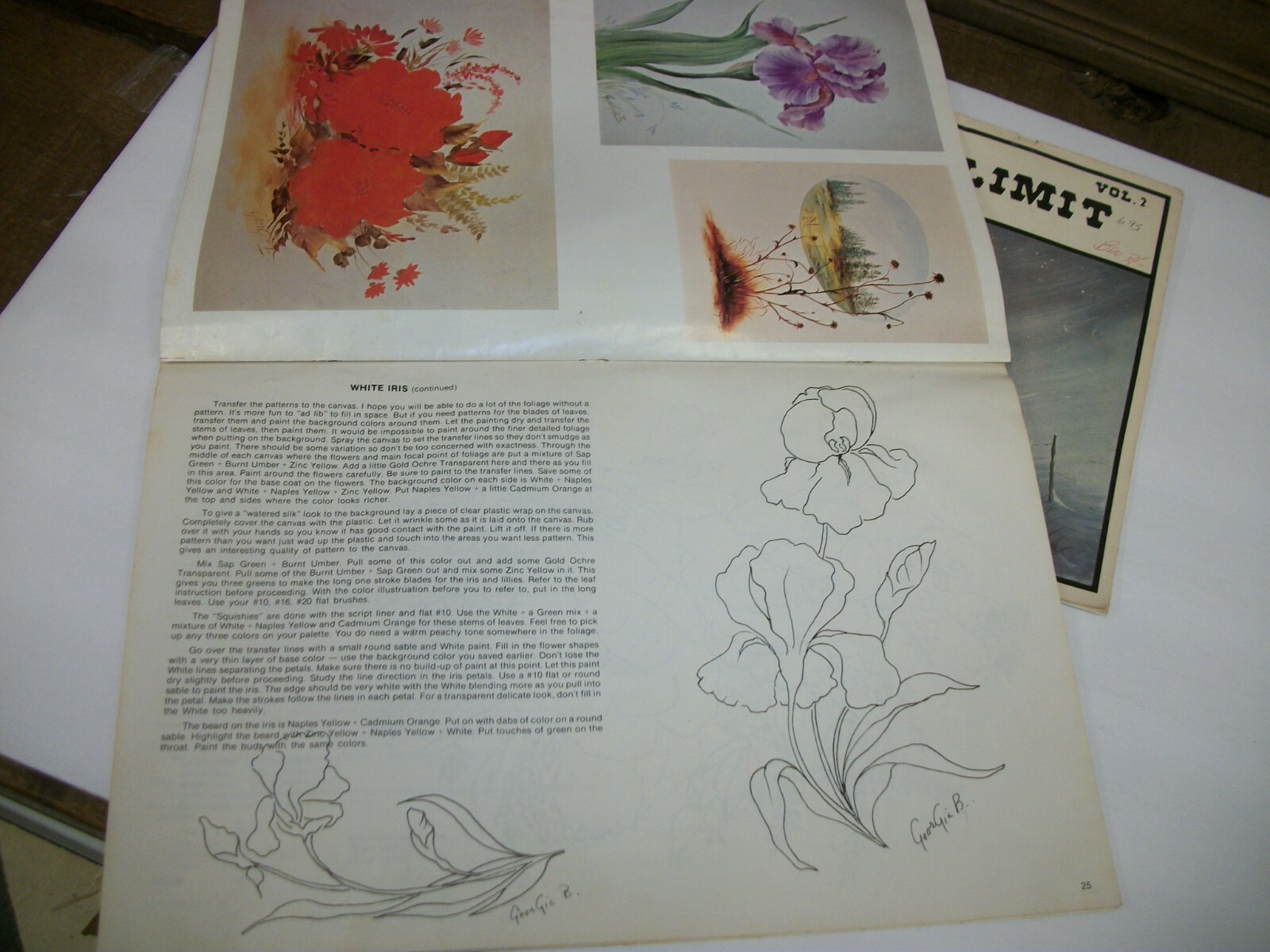 Susan Scheewe Vtg Painting Instruction Books - Jean Green & Georgia Bartlett