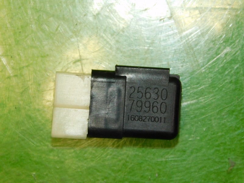 Picture 3
