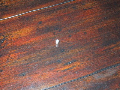 1980 Zemaitis Dural Switch Cap For Pickup Selector Switch Metal Top Zemaitis UK