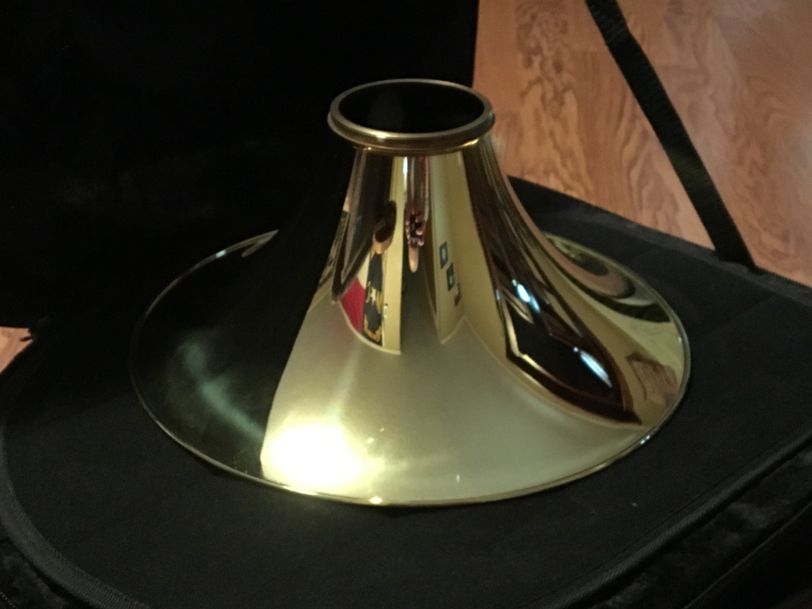 Conn 11DS professional screw bell French horn - BRAND NEW Geyer wrap horn