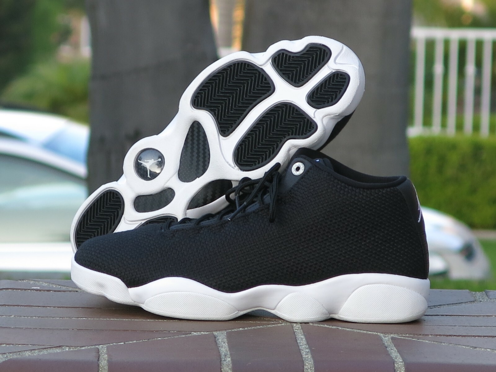 nike jordan horizon low