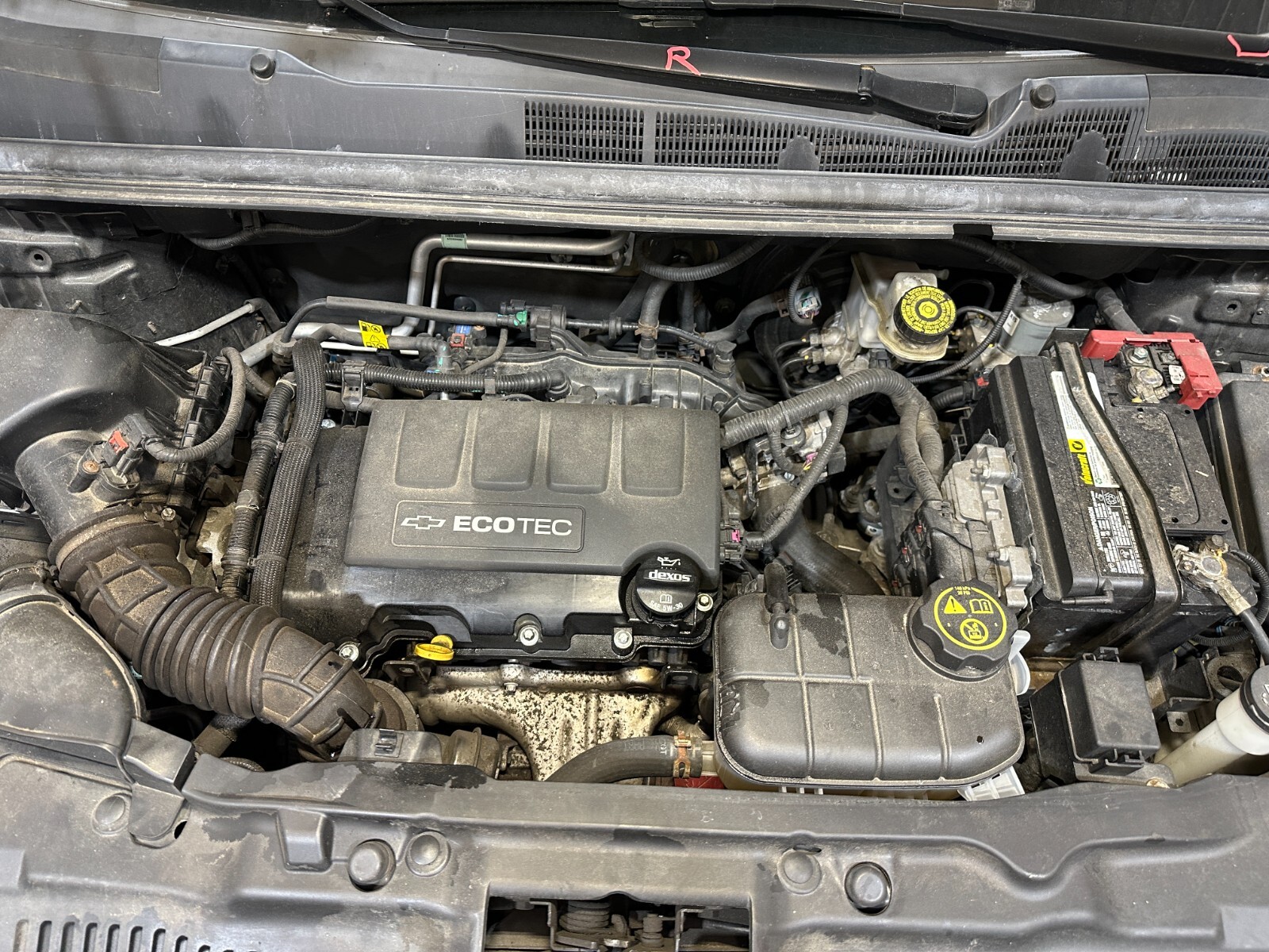 Various – Champion Trax 1 7SRENK1A0FJP2Z.jpg?h=500