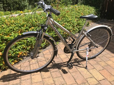 Ridgeback momentum sale