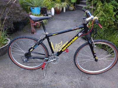 cannondale sobe team lizard mountain bike