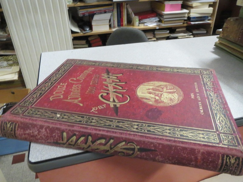 Ca807 Douze Annees Comiques 1000 Dessins Par Cham Calmann Levy Cartonnage