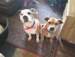 maxandtilly2013