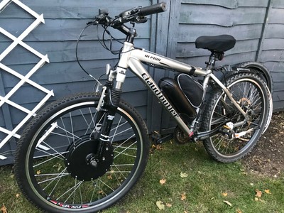 duramaxx dog trailer