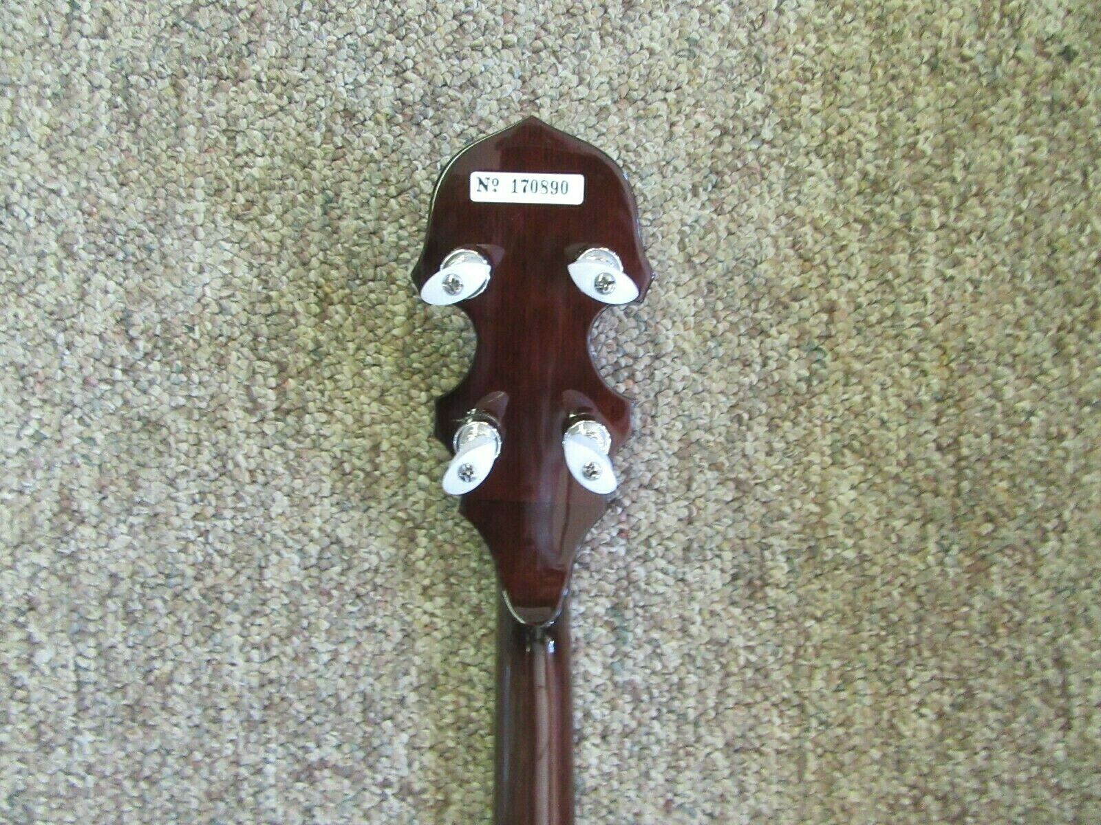 Alvarez 4280 Minstrel Banjo w/Case