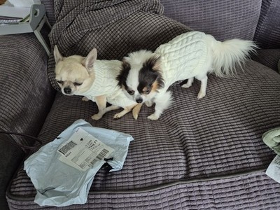 Item photo(s) from verified buyer