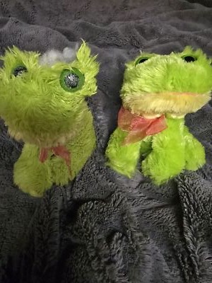 Objectfoto('s) van geverifieerde koper