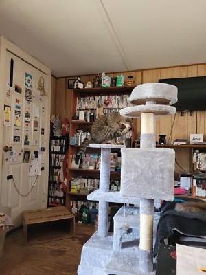 Fotos del artículo de un comprador verificado