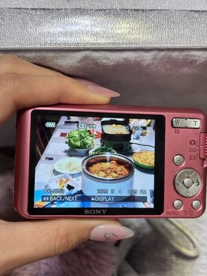 Sony Cyber-shot DSC-W630 16.1 MP Compact Digital Camera Pink