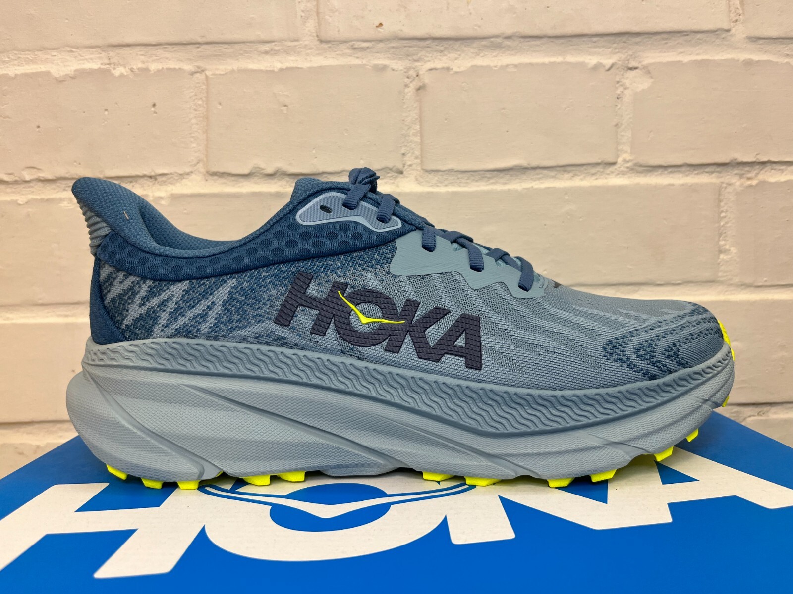 

Мужские кроссовки Hoka Challenger ATR 7 WIDE 1134499 sbep, Multicolor