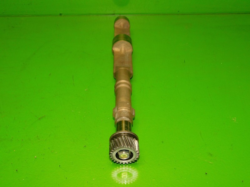 Picture 3