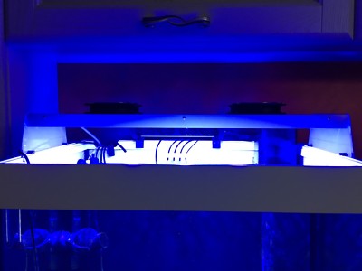 Plafoniere Led Per Marino : Acquario marino plafoniera led usato vedi tutte i prezzi