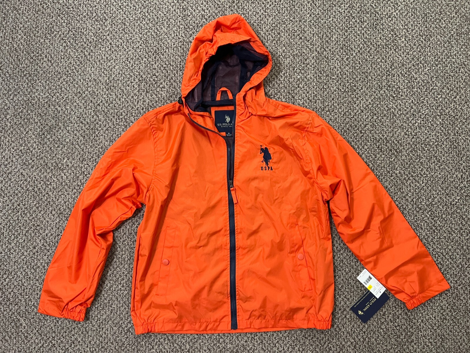 polo assassin jacket