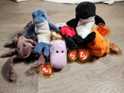 Ty Beanie Baby lot of 6 Lucky Echo Stinger Happy Waves Goldie MWMT
