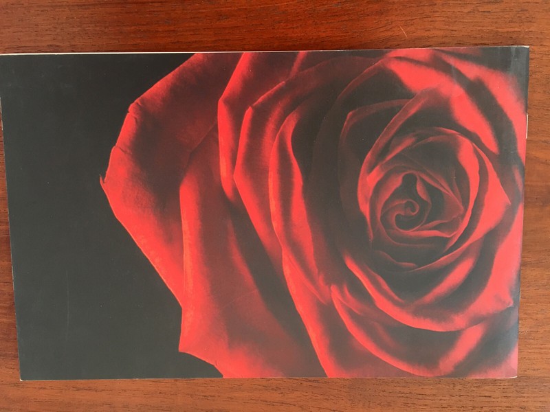 Dosier Presse Youth Without Youth  Francis Ford Coppola Tim Roth 2007