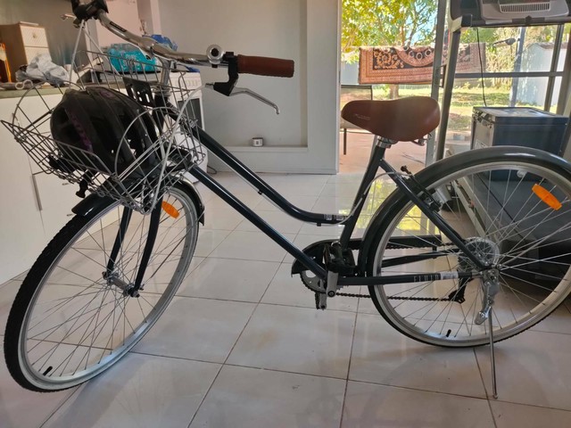 fluid santa monica bike