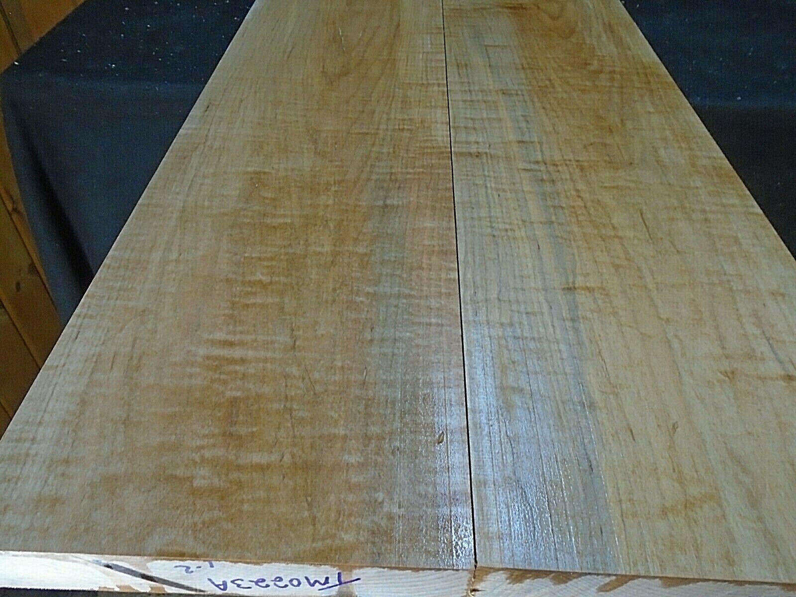 2pc 6/4 CURLY SPALTED TIGER  SILVER MAPLE BILLETS  42