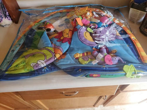 tiny love gymini super deluxe lights & music play mat