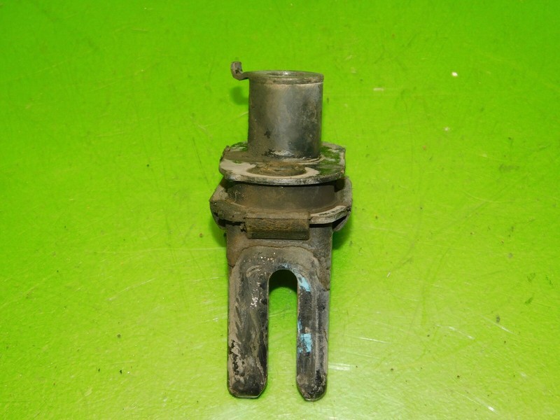 Picture 3