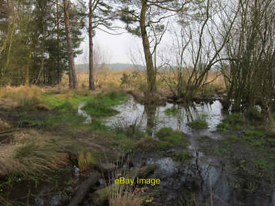 Photo 12x8 Bridleway on Elstead Common Pot Common One of several soggy sec c2011