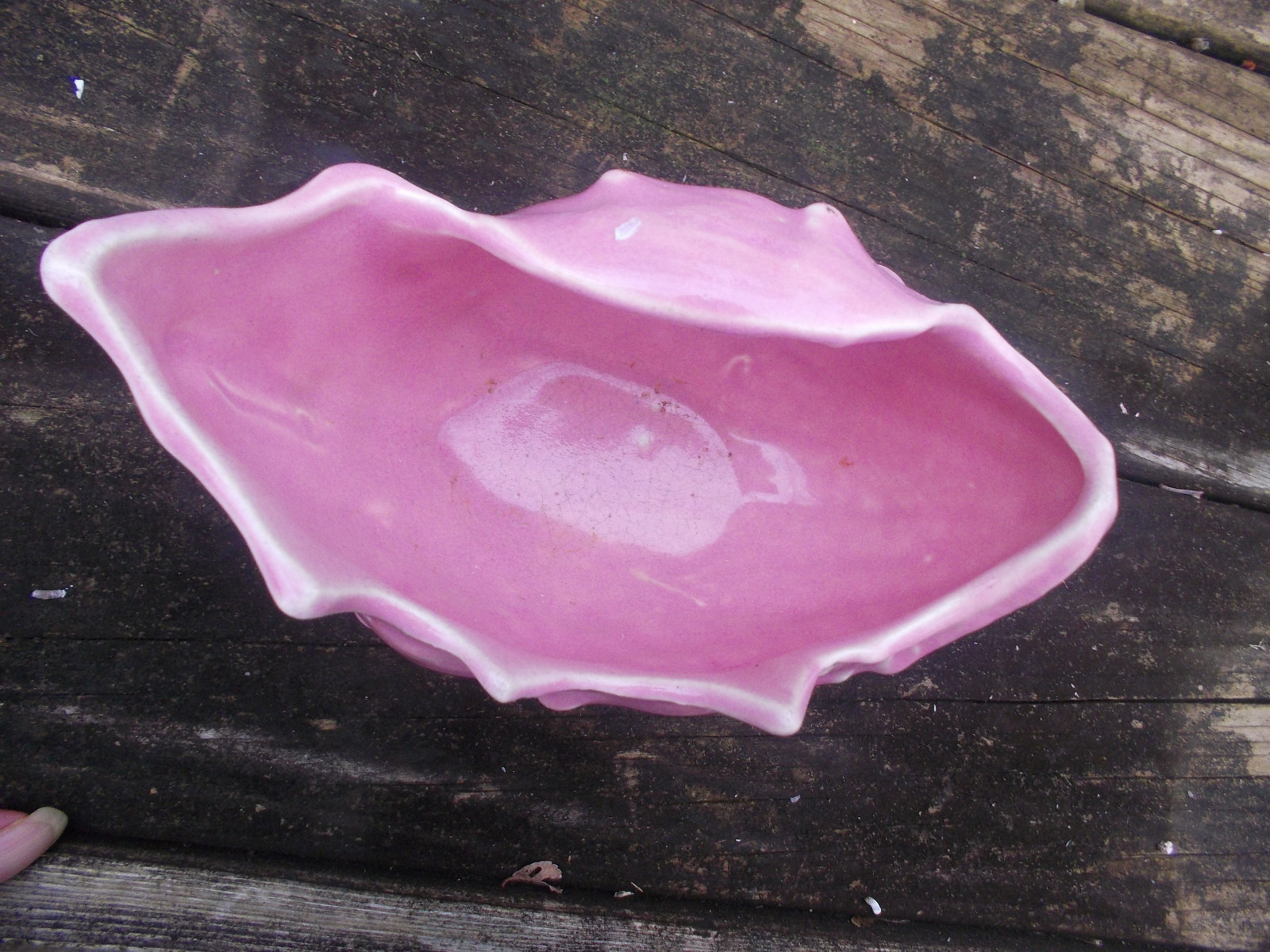 Nelson McCoy pink conch shell 8 inch long 4-3/4 no chips or hairlines