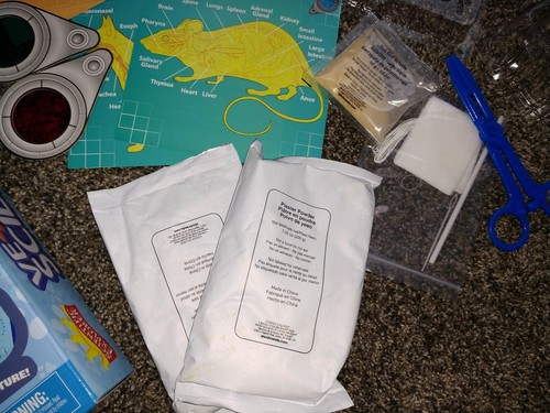 Scientific Explorer Veterinary Science